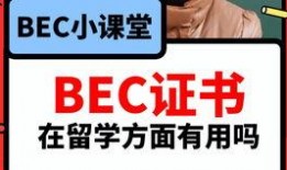山东吃瓜爆料网站最新视频,最新视频揭秘惊人内幕！