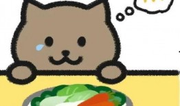 胖猫姐姐直播爆料最新,娱乐圈最新动态大曝光！