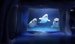 海洋最新爆料,揭秘海洋最新发现与奇观